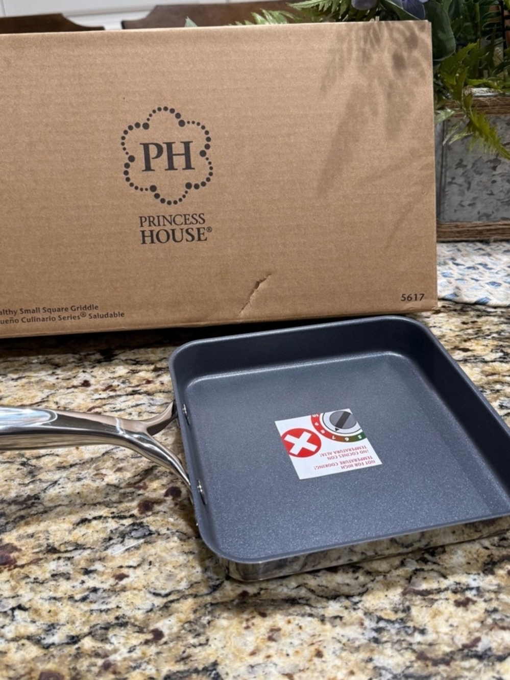 Princess House Nonstick Small Square Griddle - Black
